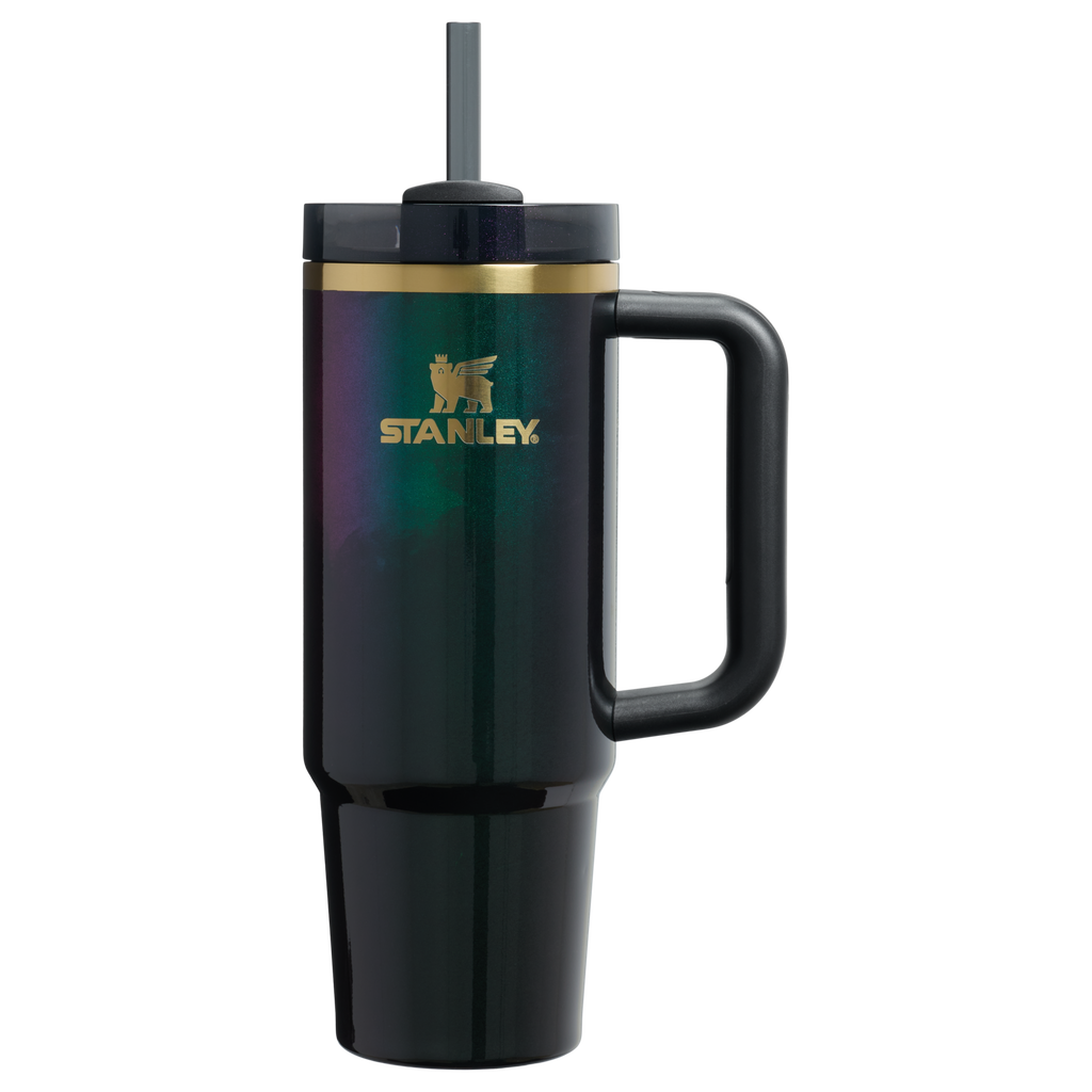 Large Capacity The Wicked for Good Quencher H2.0 Flowstate Tumbler D246P - Premium Stainless Steel Straw Cup for All-Day Hydration - Elphaba For Good