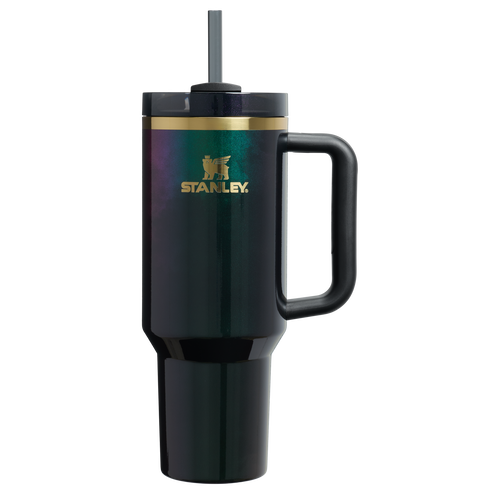Double-Wall Vacuum The Wicked for Good Quencher H2.0 Flowstate Tumbler D245R - FlowState 3-Position Lid Insulated Travel Mug - Elphaba For Good