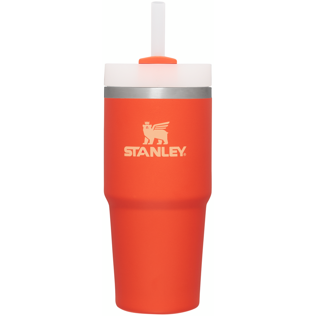 Insulated Travel The Quencher H2.0 Flowstate Tumbler D214X - Double-Wall Vacuum Insulated Travel Tumbler with Straw Detail