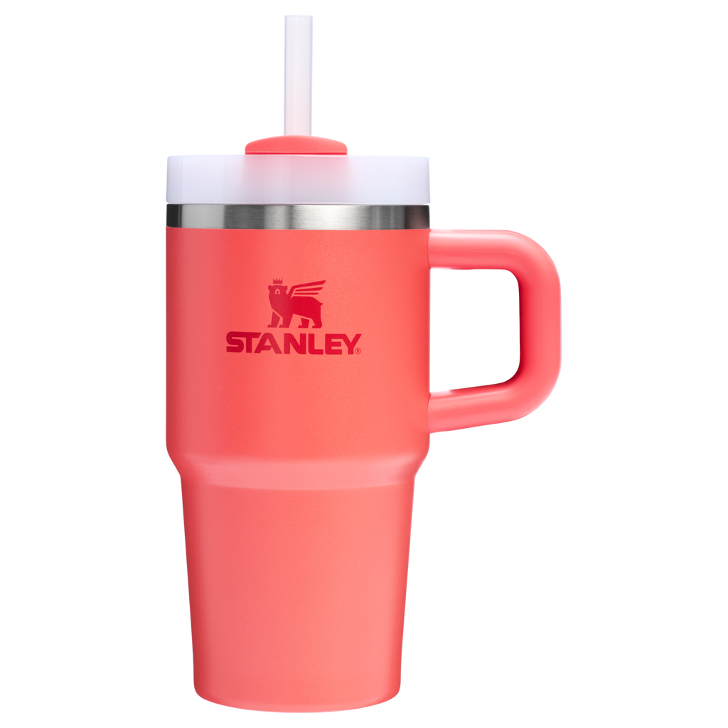 Double-Wall Vacuum The Quencher H2.O Flowstate Tumbler D069R - Premium Stainless Steel Straw Cup for All-Day Hydration Detail